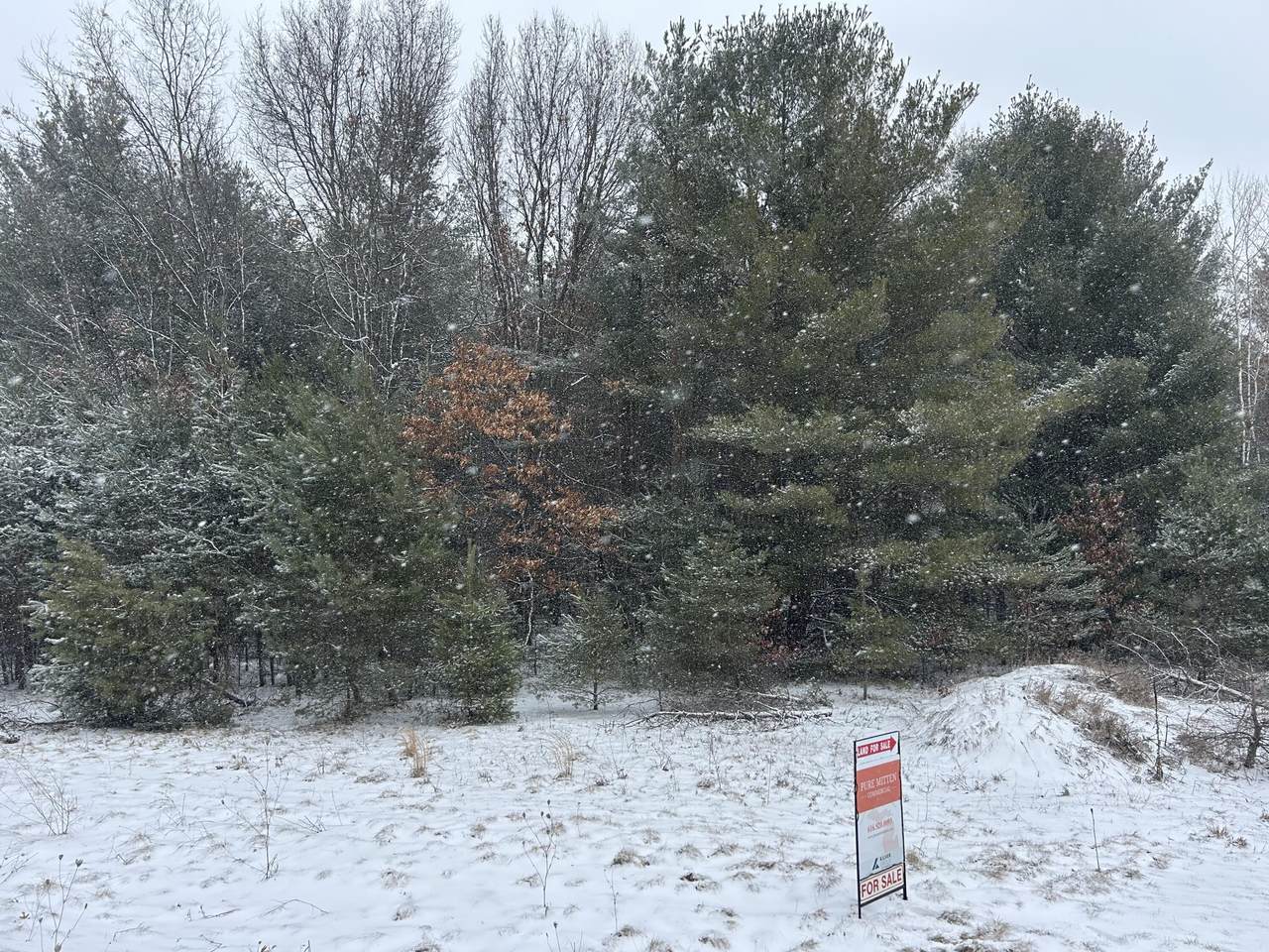 9530 Federal Road - Photo 1