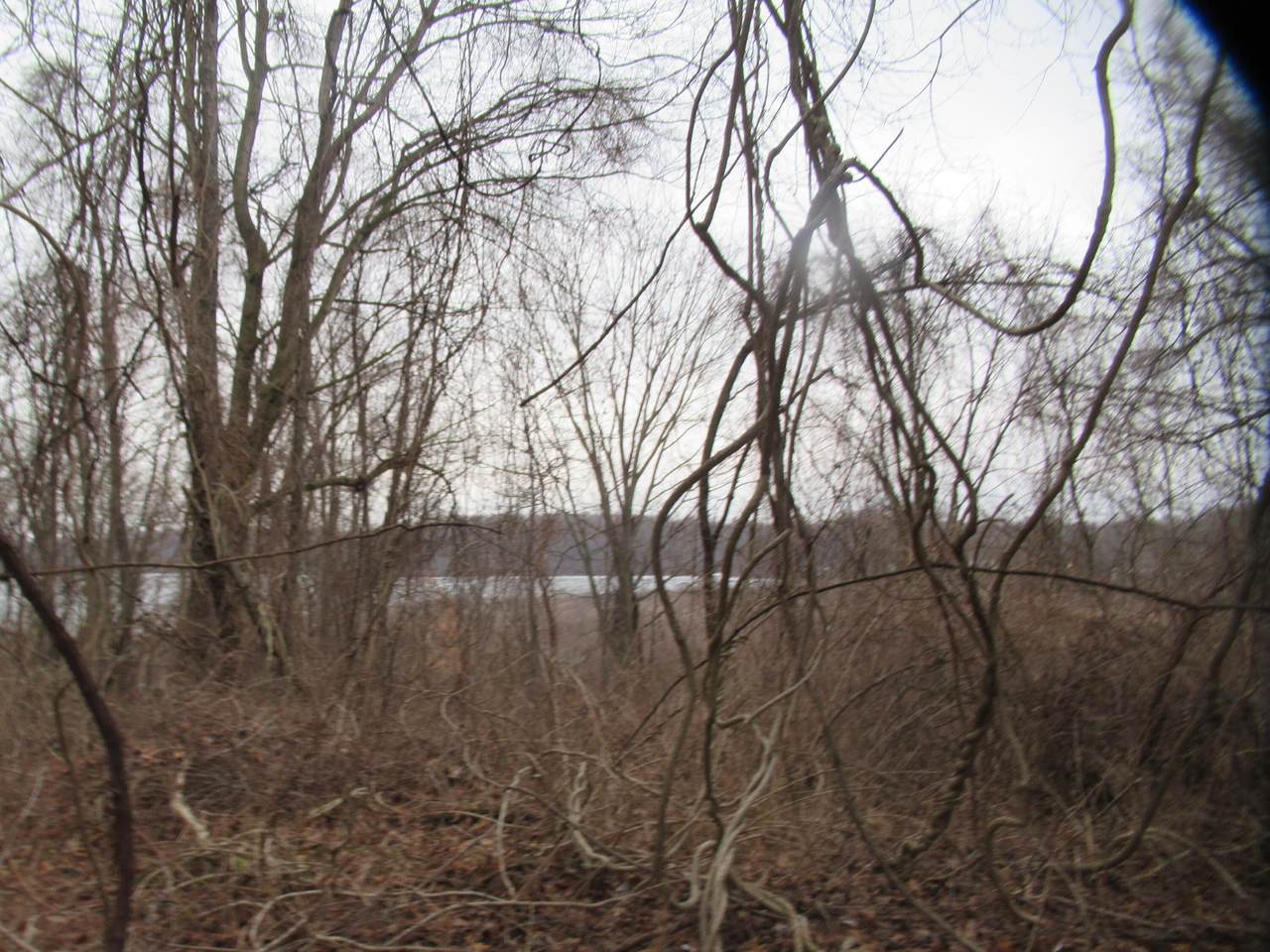 17673 Long Lake Drive - Photo 1