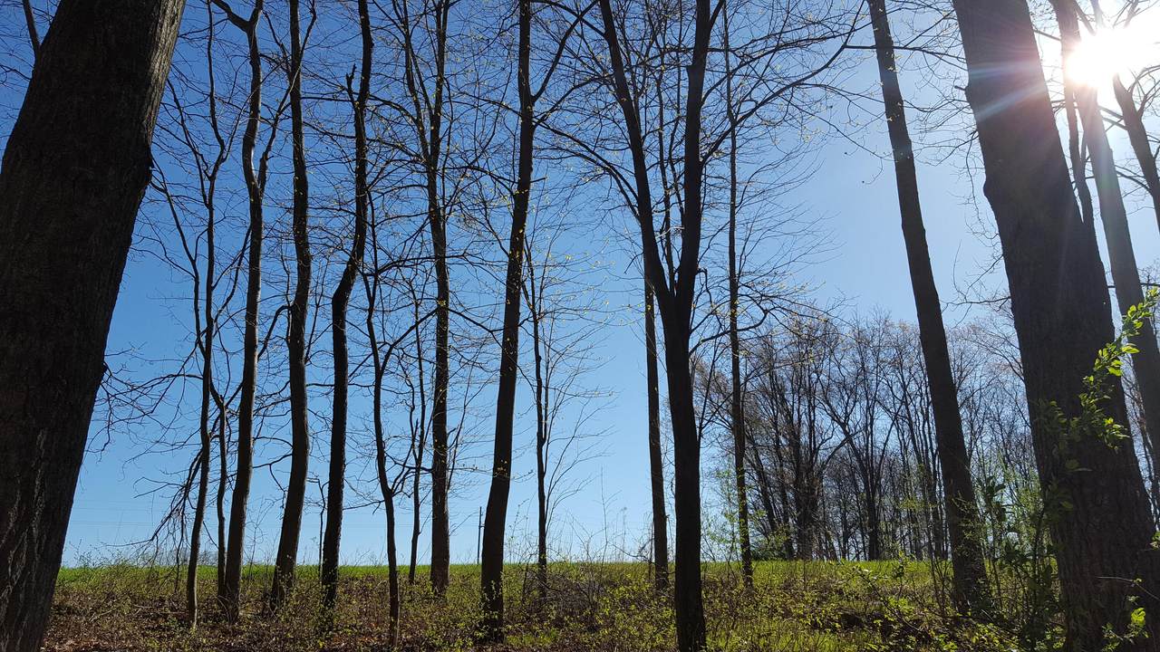https://bt-photos.global.ssl.fastly.net/swmich/1280_boomver_2_26002111-2.jpg