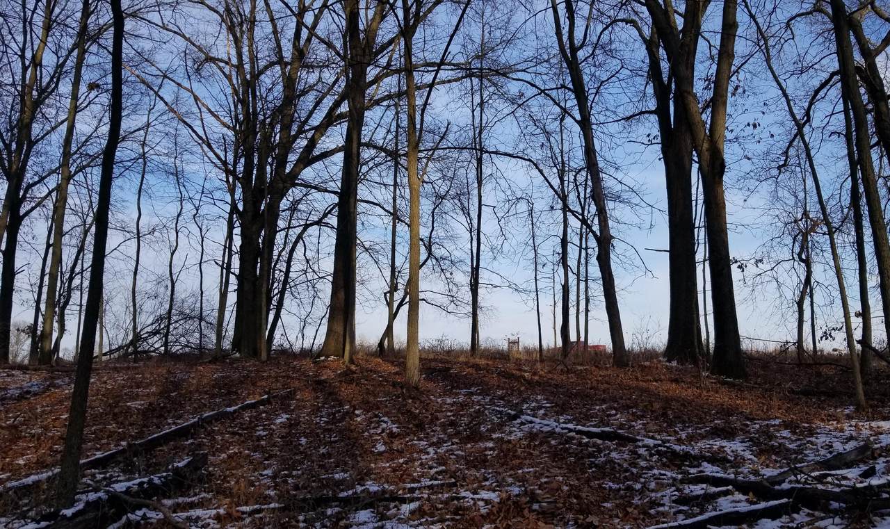 https://bt-photos.global.ssl.fastly.net/swmich/1280_boomver_2_26002111-2.jpg