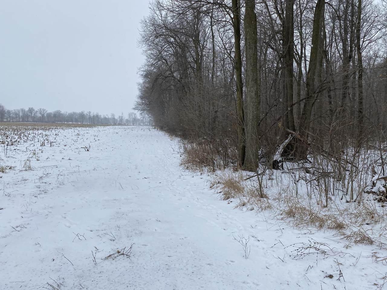 https://bt-photos.global.ssl.fastly.net/swmich/1280_boomver_2_26002191-2.jpg