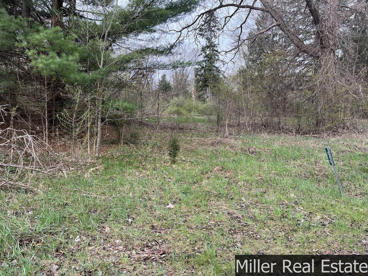 270 M-37 Highway - Photo 1