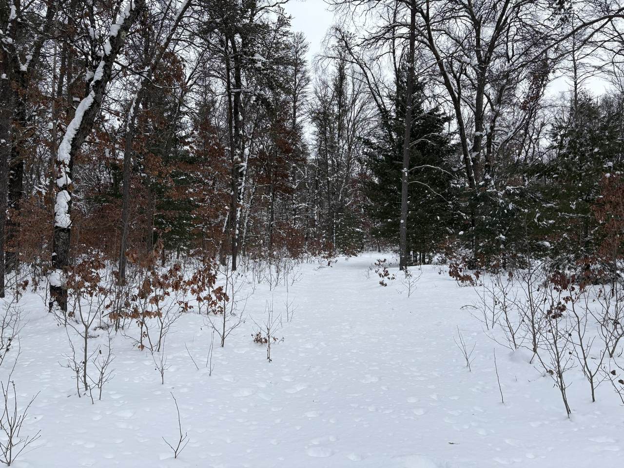 https://bt-photos.global.ssl.fastly.net/swmich/1280_boomver_2_26002648-2.jpg