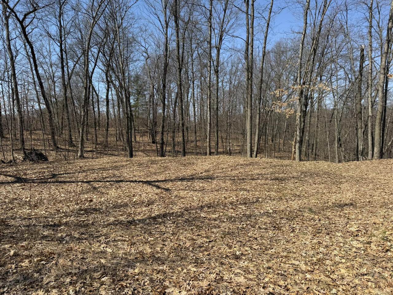8180 Echo Valley Drive - Photo 1