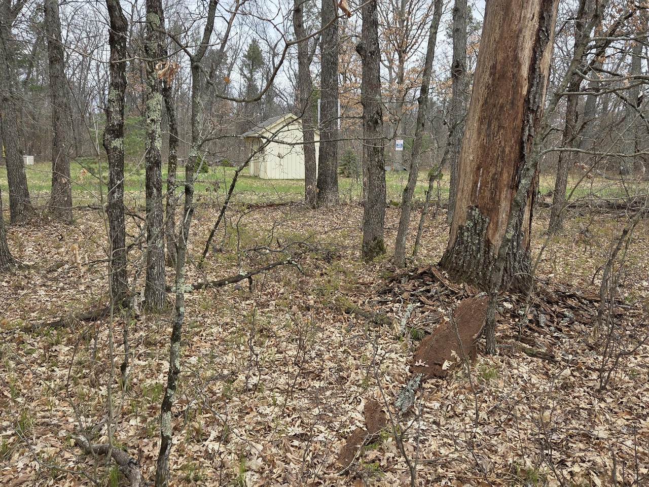 https://bt-photos.global.ssl.fastly.net/swmich/1280_boomver_2_26004122-2.jpg
