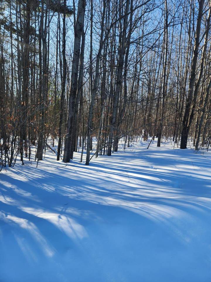  Starlight Ridge Circle - Photo 1