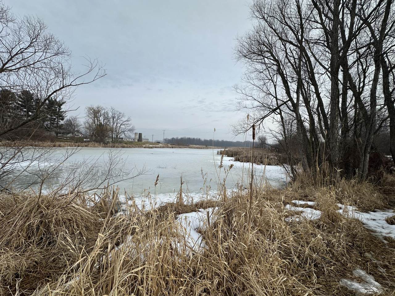 7231 Onsted Highway - Photo 1