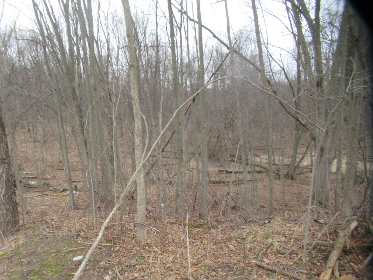  Williamsville Street - Photo 1