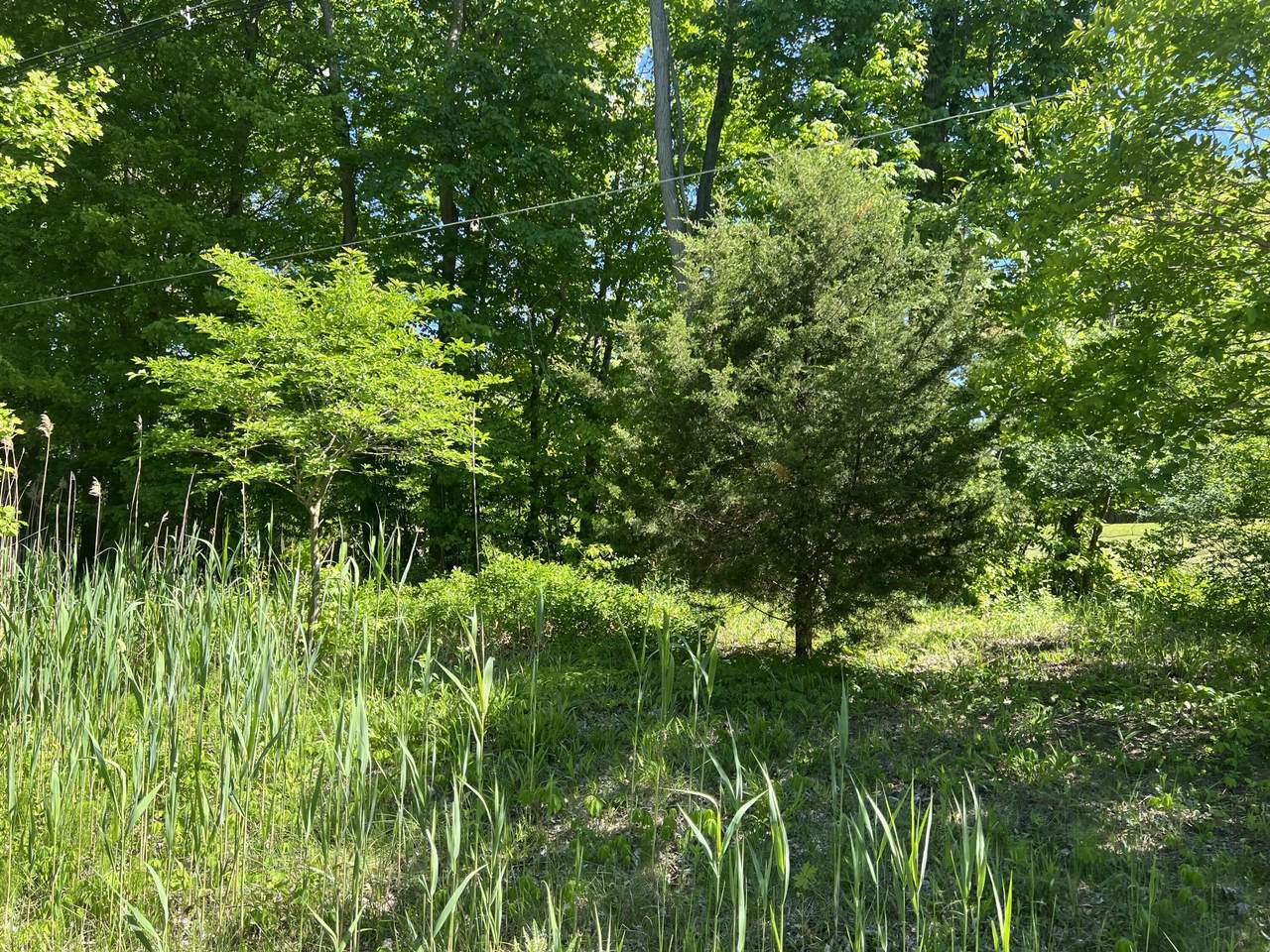 https://bt-photos.global.ssl.fastly.net/swmich/1280_boomver_2_26008773-2.jpg