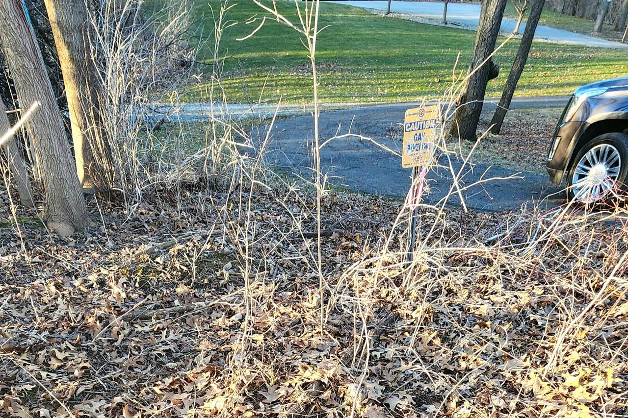 https://bt-photos.global.ssl.fastly.net/swmich/1280_boomver_1_26008871-2.jpg