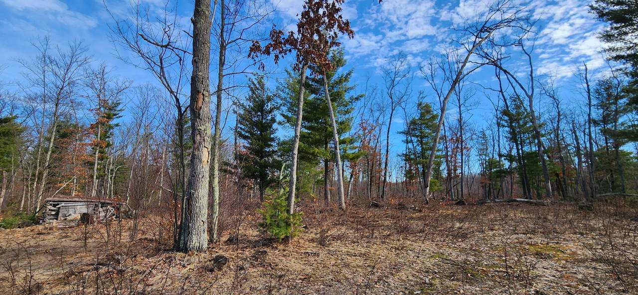 7746 Woodbridge Road - Photo 1