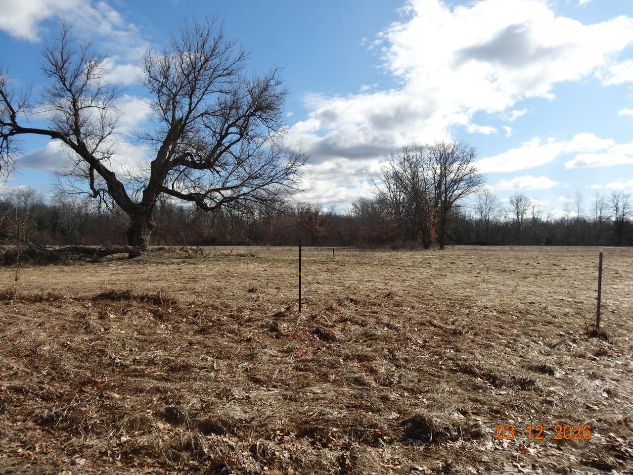 550 Oak Avenue - Photo 1