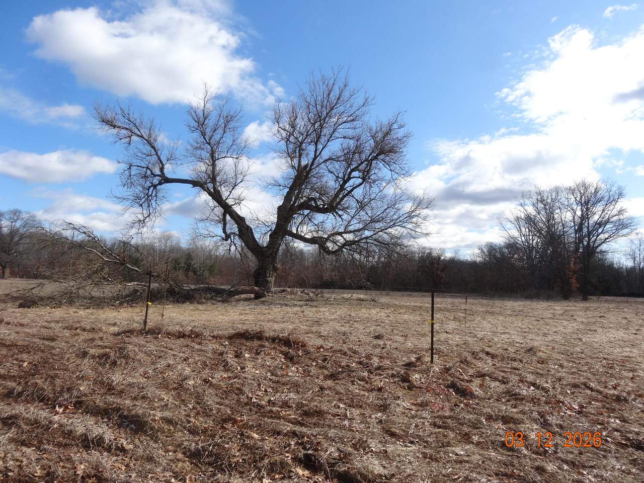 518 Oak Avenue - Photo 1