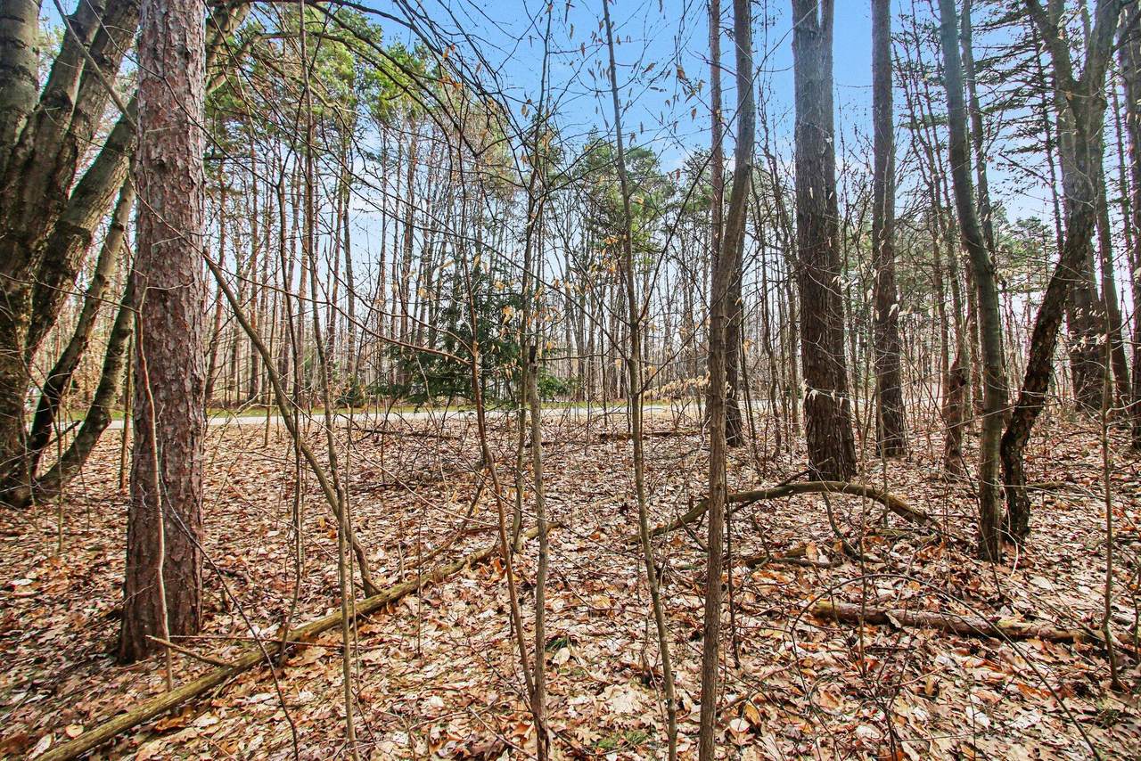 5818 Hunters Ridge - Photo 1