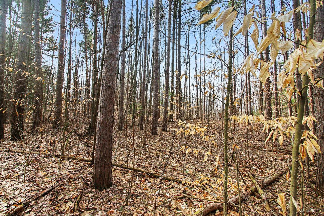 https://bt-photos.global.ssl.fastly.net/swmich/1280_boomver_2_26011636-2.jpg