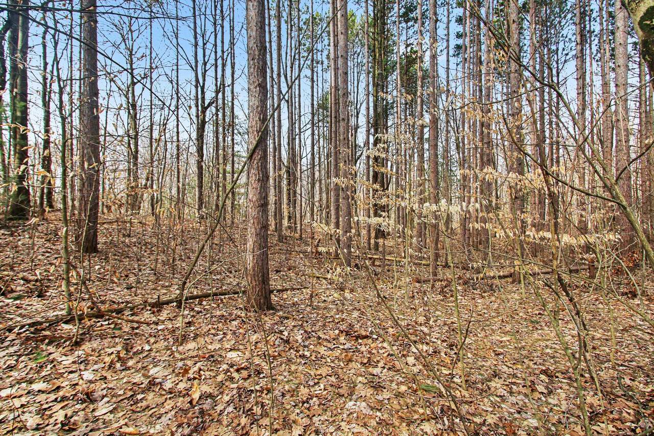https://bt-photos.global.ssl.fastly.net/swmich/1280_boomver_2_26011636-2.jpg