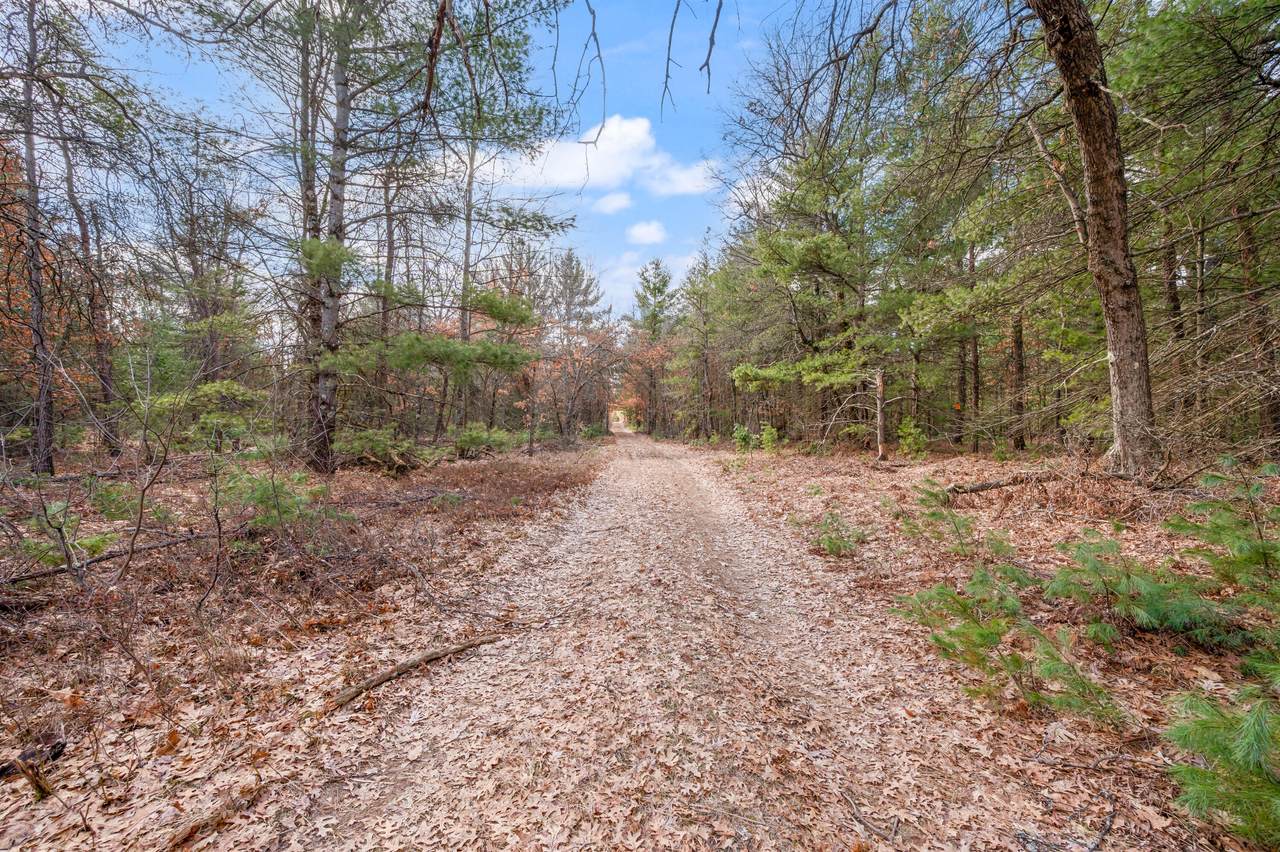 837 Lincoln Street - Photo 1