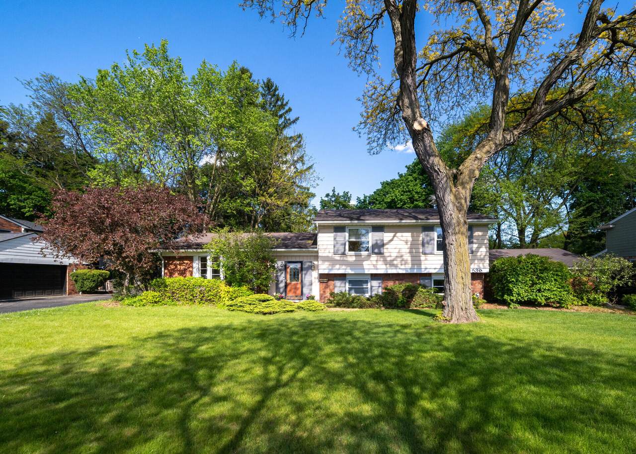 539 Sheldon Road - Photo 1