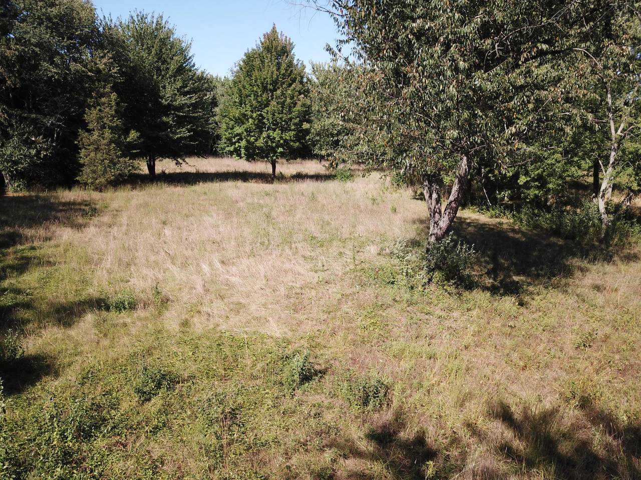1853 John Beers Road - Photo 1