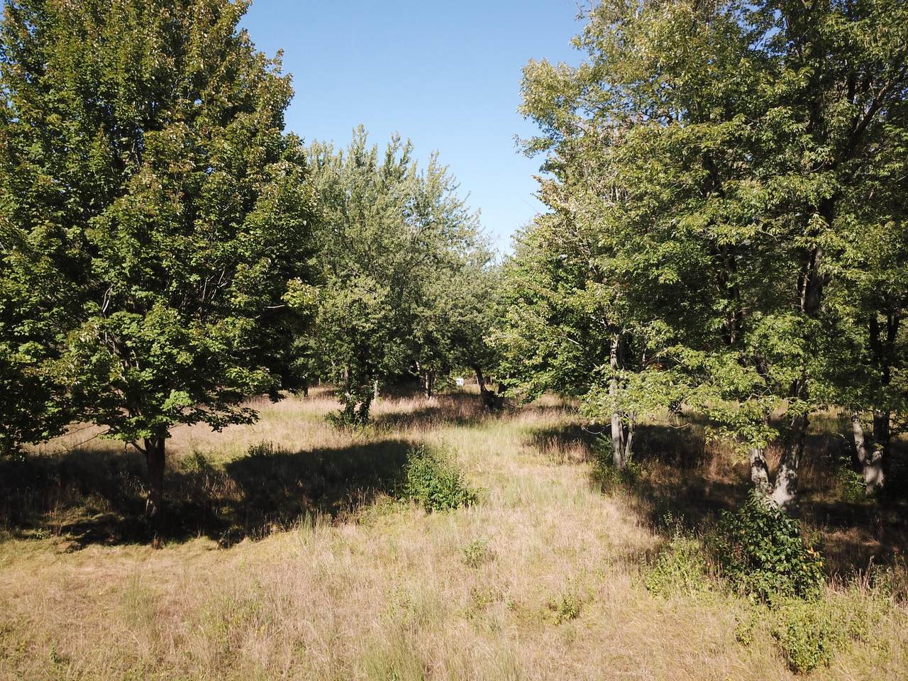 https://bt-photos.global.ssl.fastly.net/swmich/1280_boomver_2_26017023-2.jpg