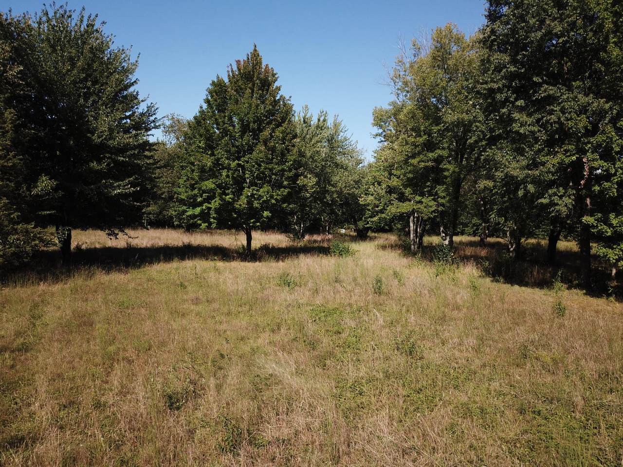 https://bt-photos.global.ssl.fastly.net/swmich/1280_boomver_2_26017023-2.jpg