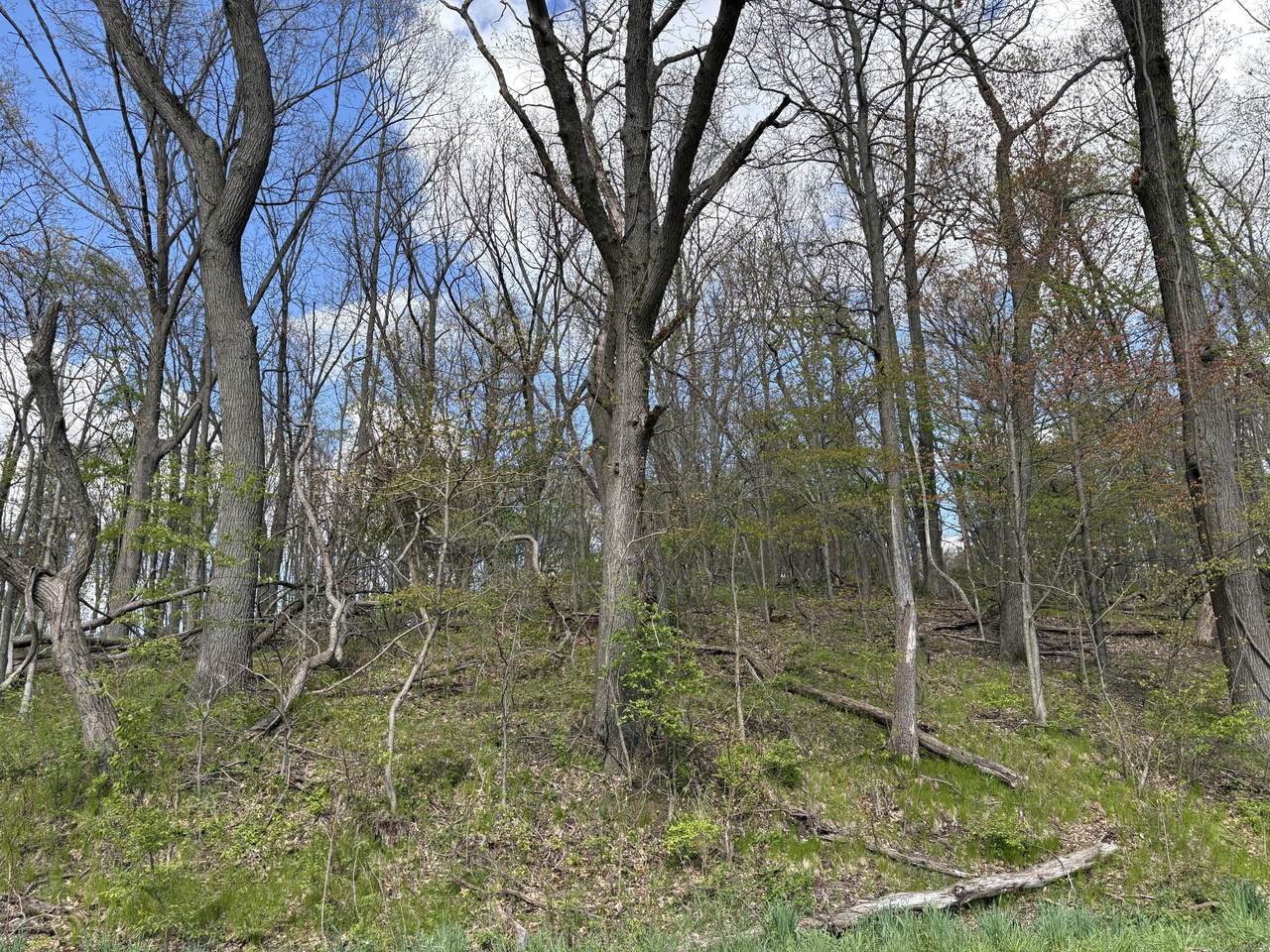 https://bt-photos.global.ssl.fastly.net/swmich/1280_boomver_2_26019602-2.jpg