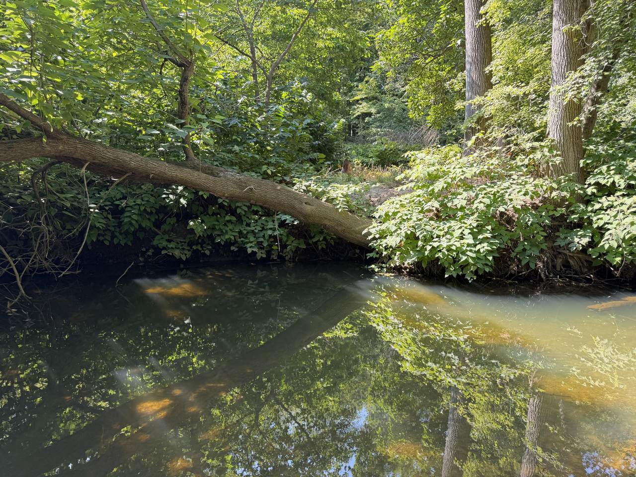 https://bt-photos.global.ssl.fastly.net/swmich/1280_boomver_2_26044293-2.jpg