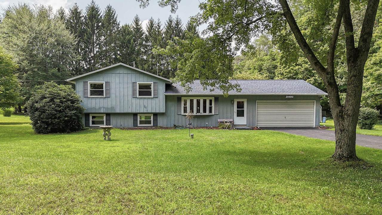 28493 Downey Street - Photo 1