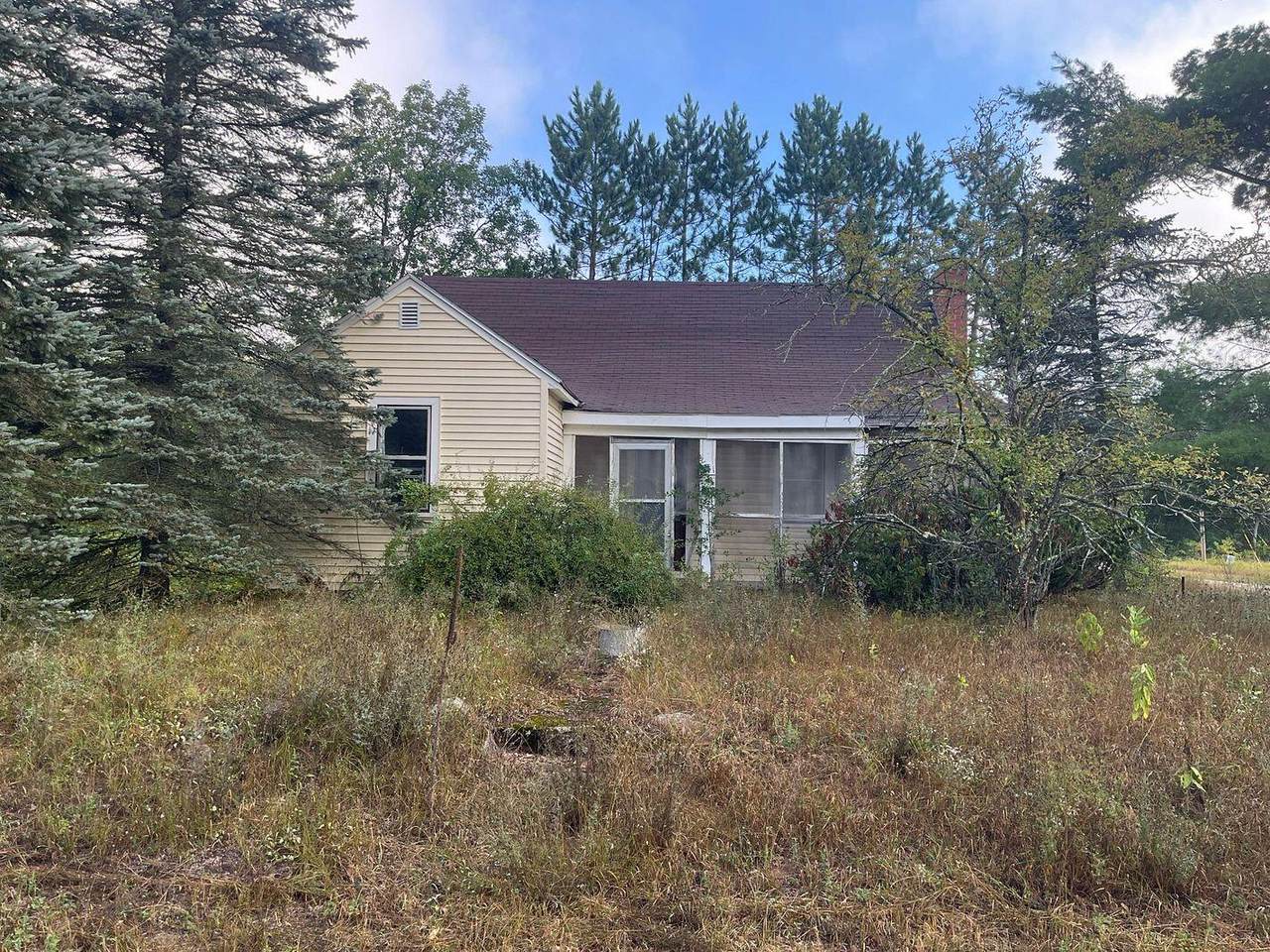 343 Dubois - Photo 1
