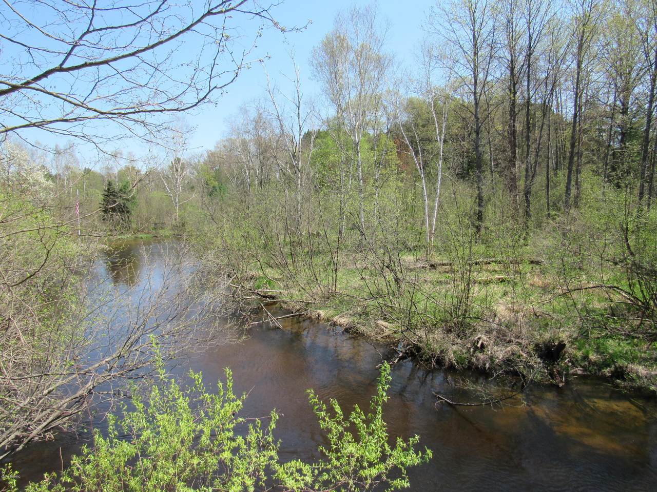 000 11 Mile - Photo 1