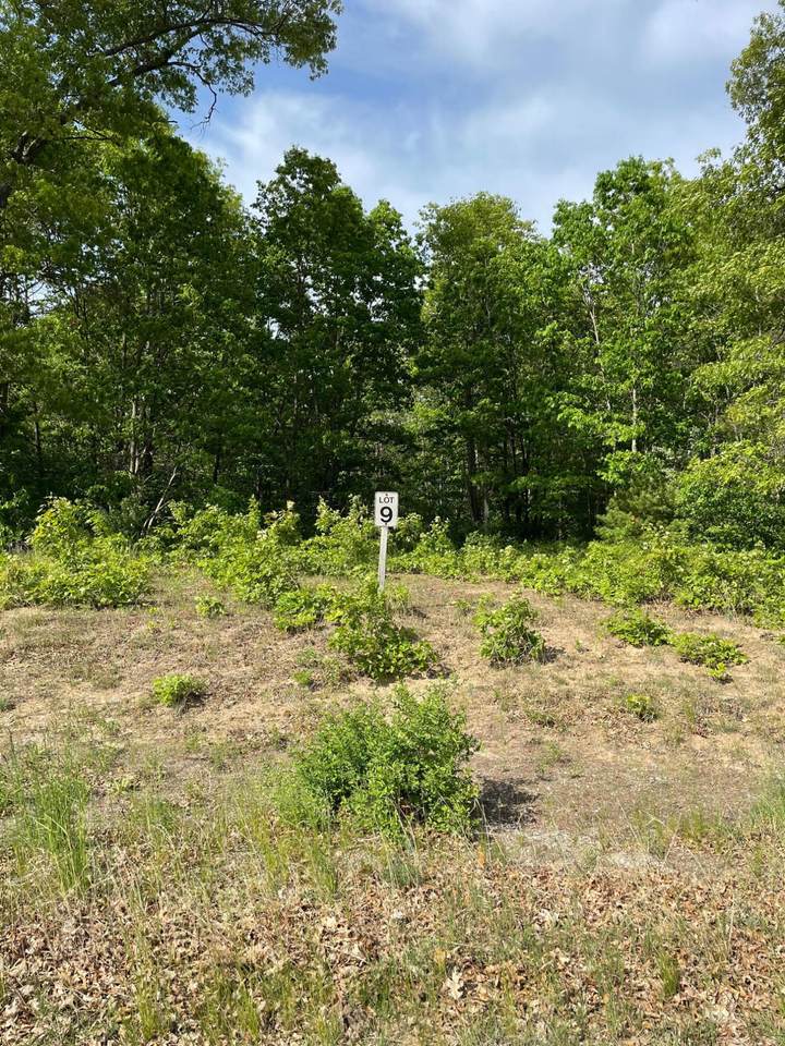 Lot 9 Renaissance - Photo 1
