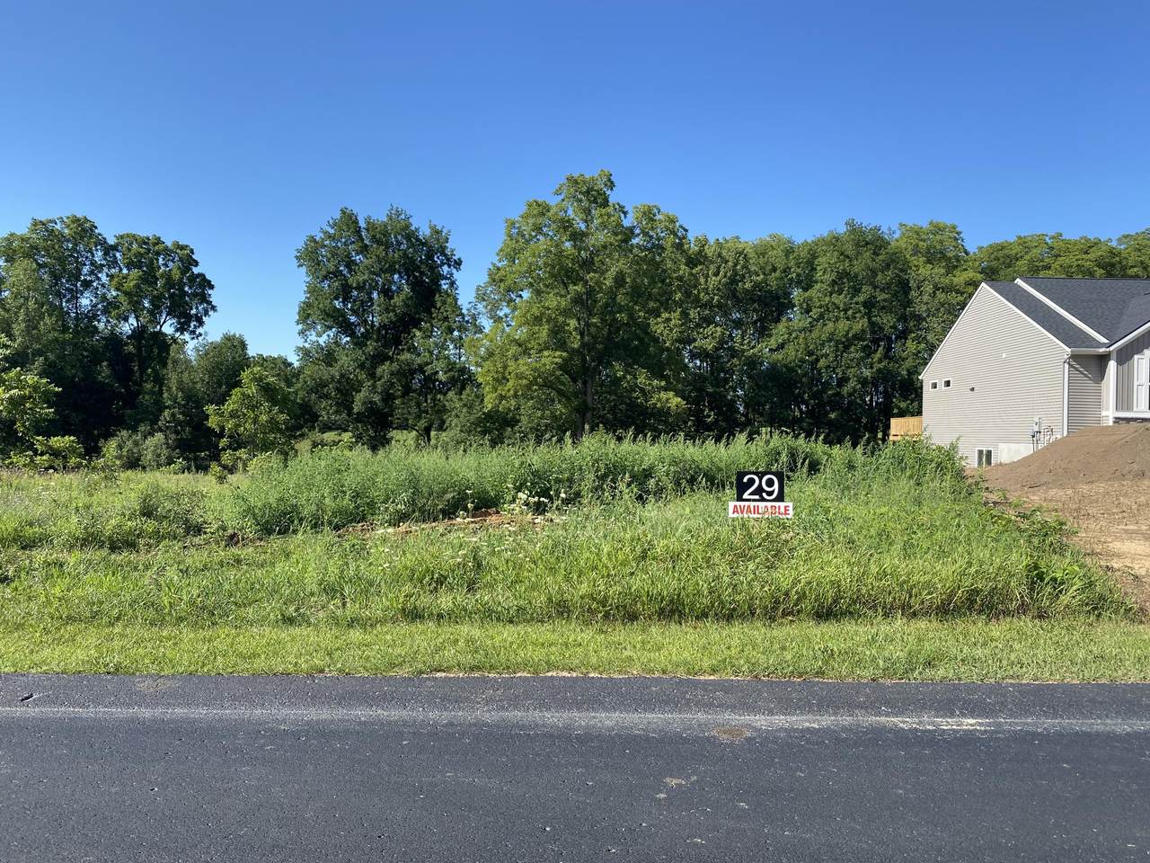 2245 Quarter Horse Drive - Photo 1