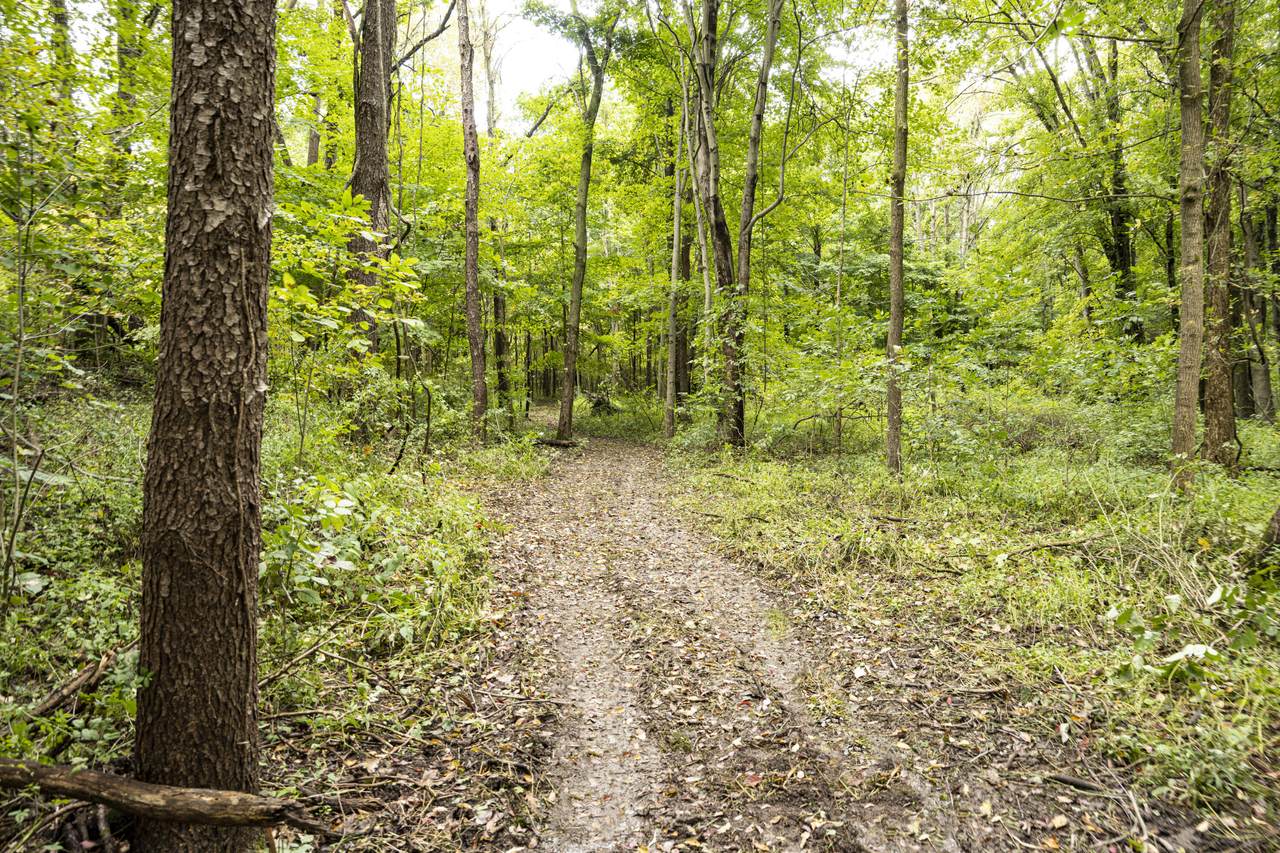0 Madron Lake Road - Photo 1