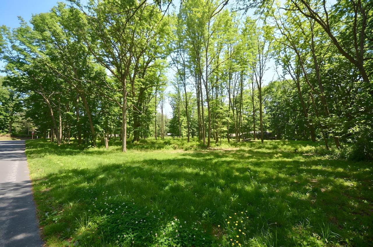 https://bt-photos.global.ssl.fastly.net/swmich/1280_boomver_3_24020611-2.jpg