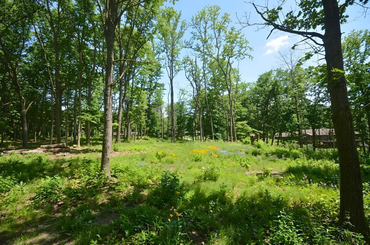 https://bt-photos.global.ssl.fastly.net/swmich/1280_boomver_3_24020611-2.jpg