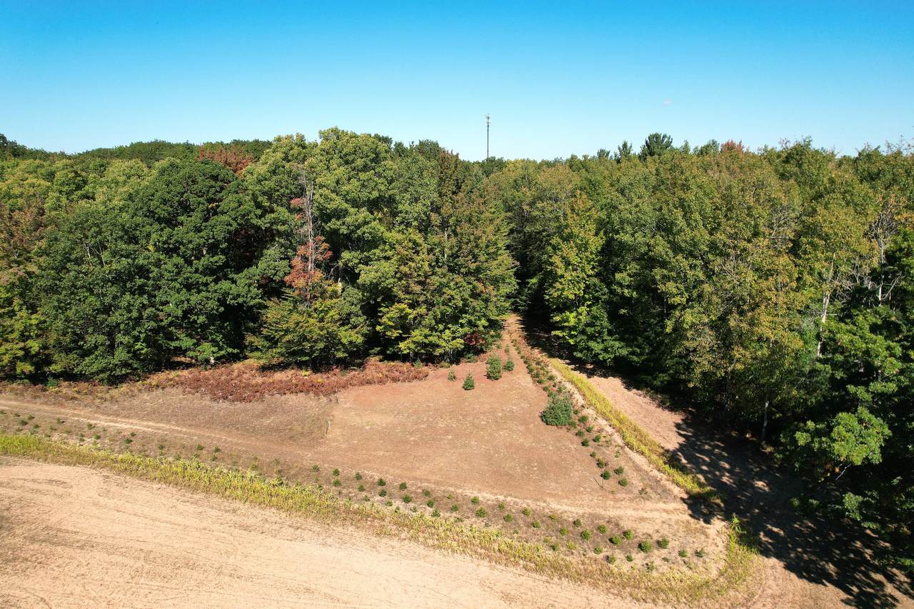 6604 Mears Road - Photo 1