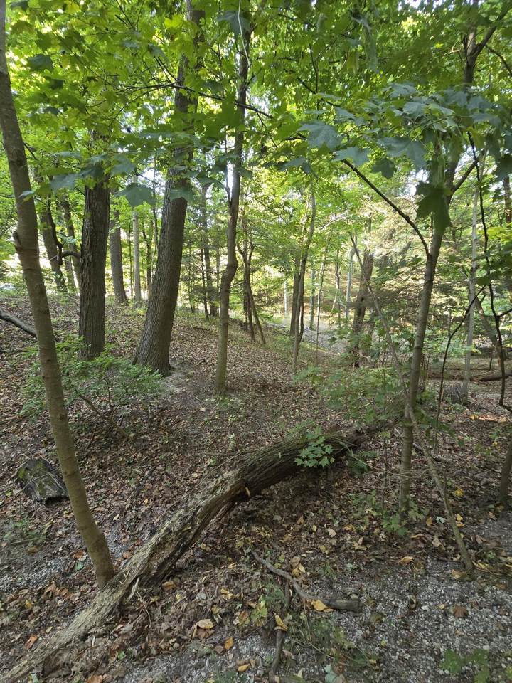 0 Vandermeulen Road - Photo 1