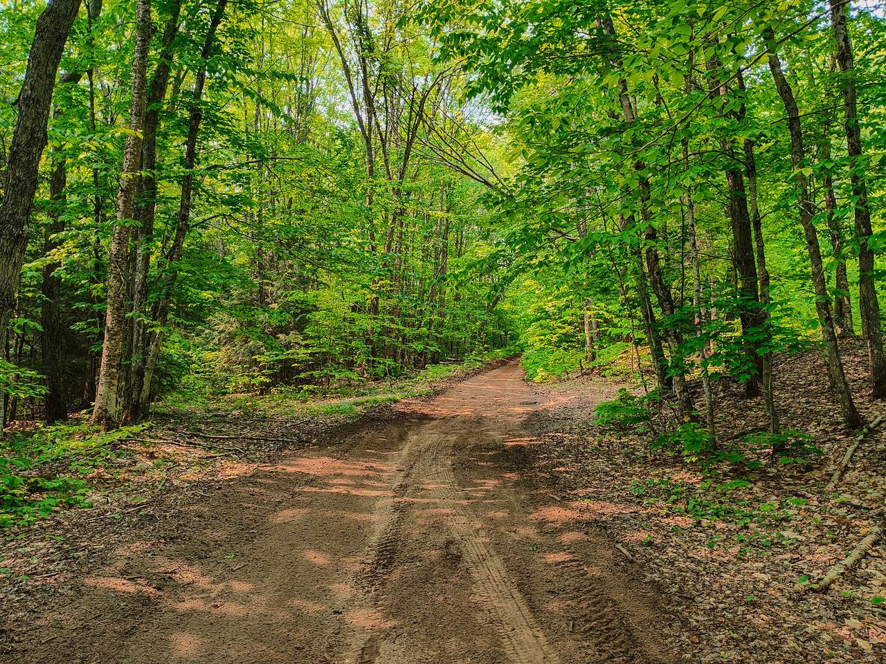 V/L Tower Road - Photo 1