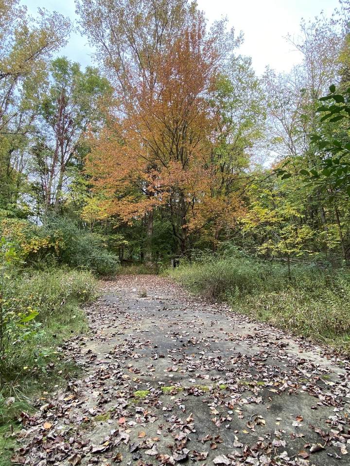 10005 50th Street - Photo 1