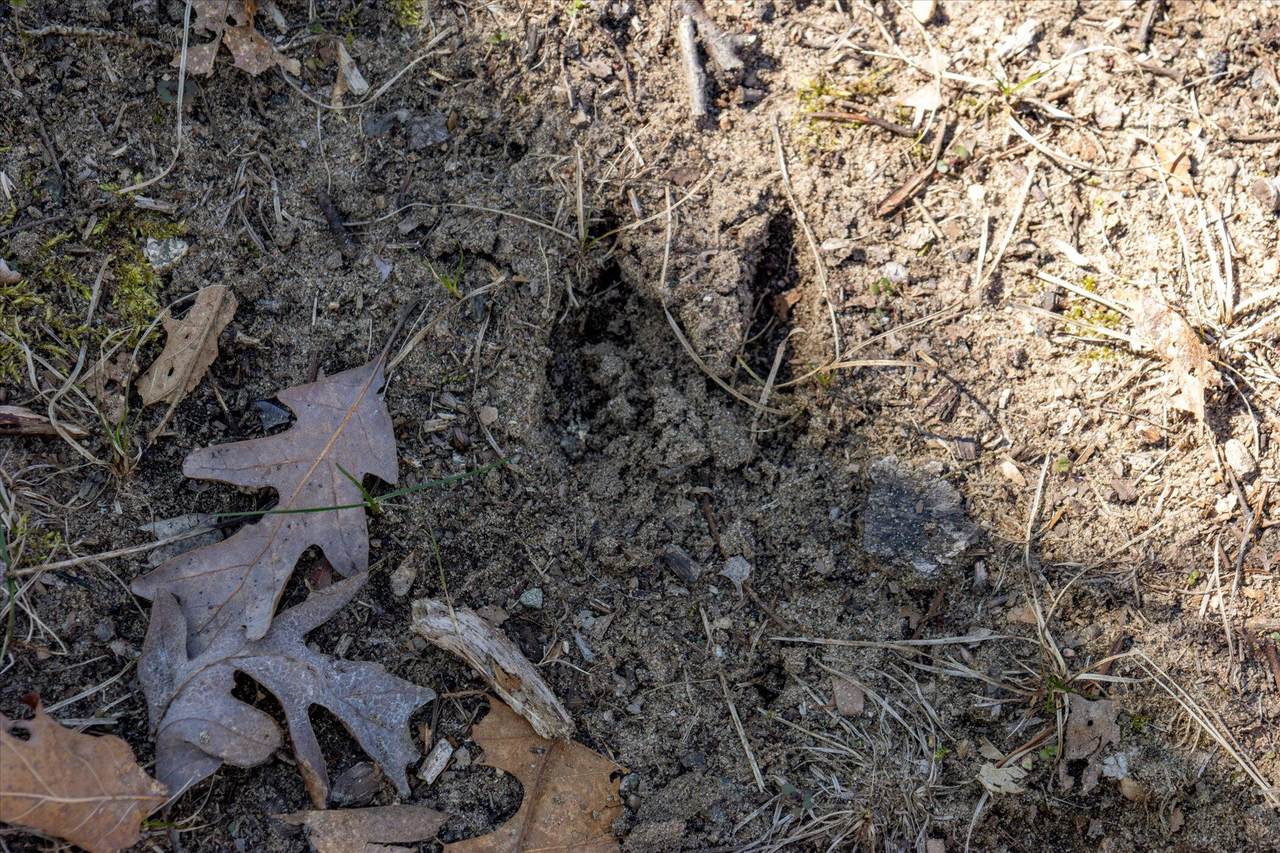 D 14714 Myers Lake Avenue - Photo 1