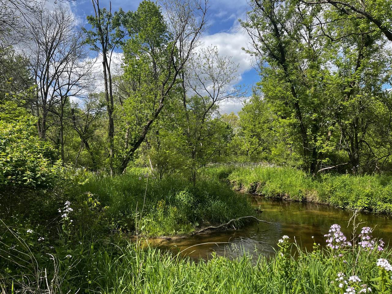 5650 Morrison Lake Road - Photo 1