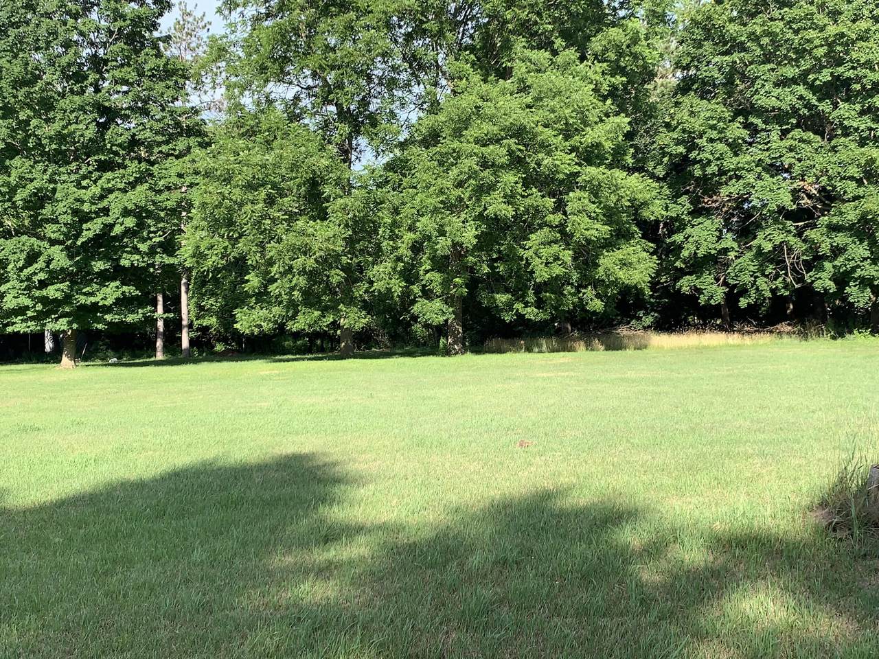  Lizzie Avenue - Photo 1