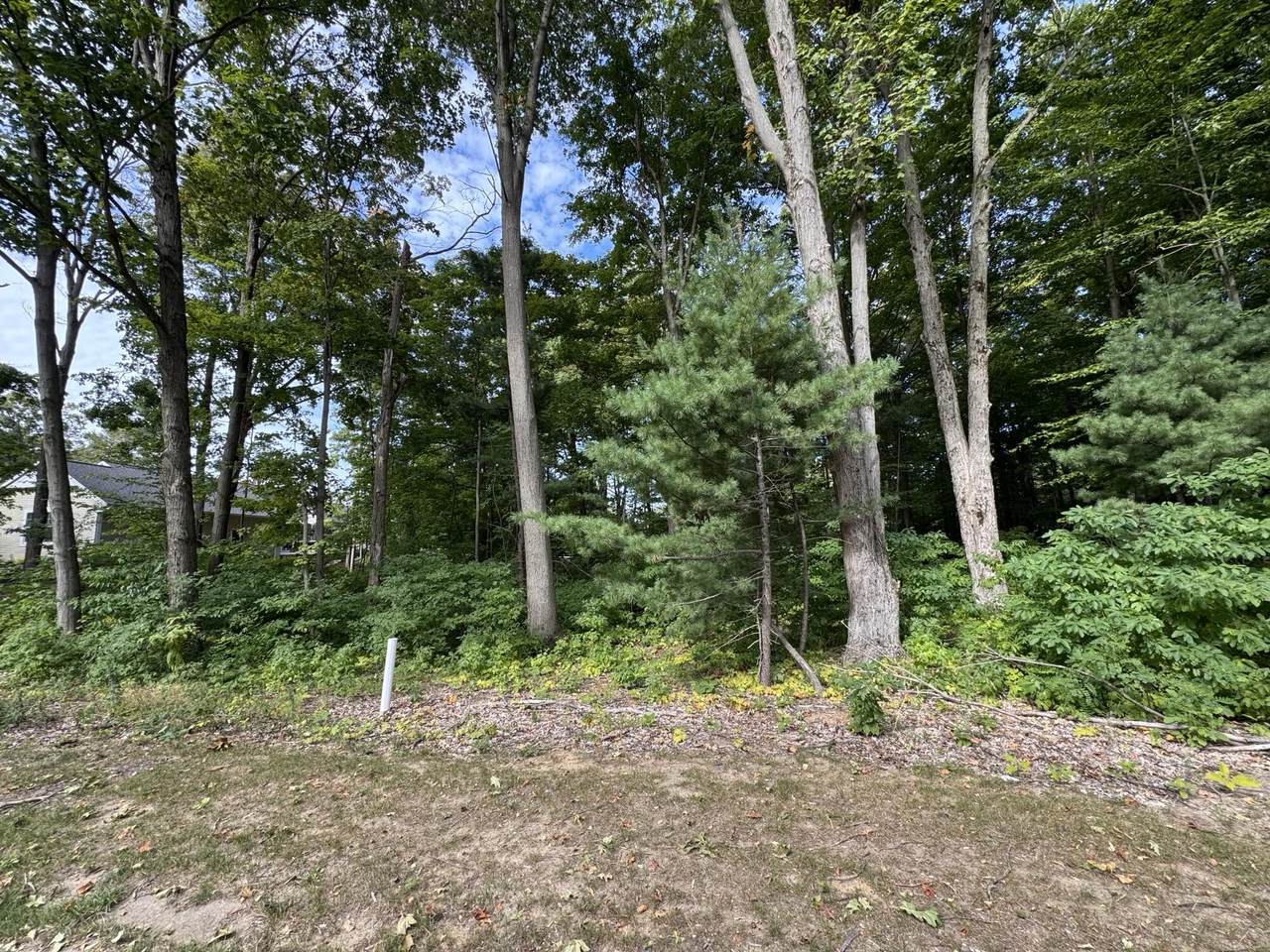 14672 Crest View Court - Photo 1