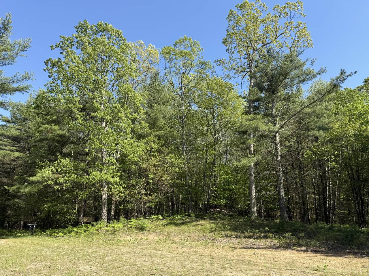 3.75 Acres Wayne Road - Photo 1