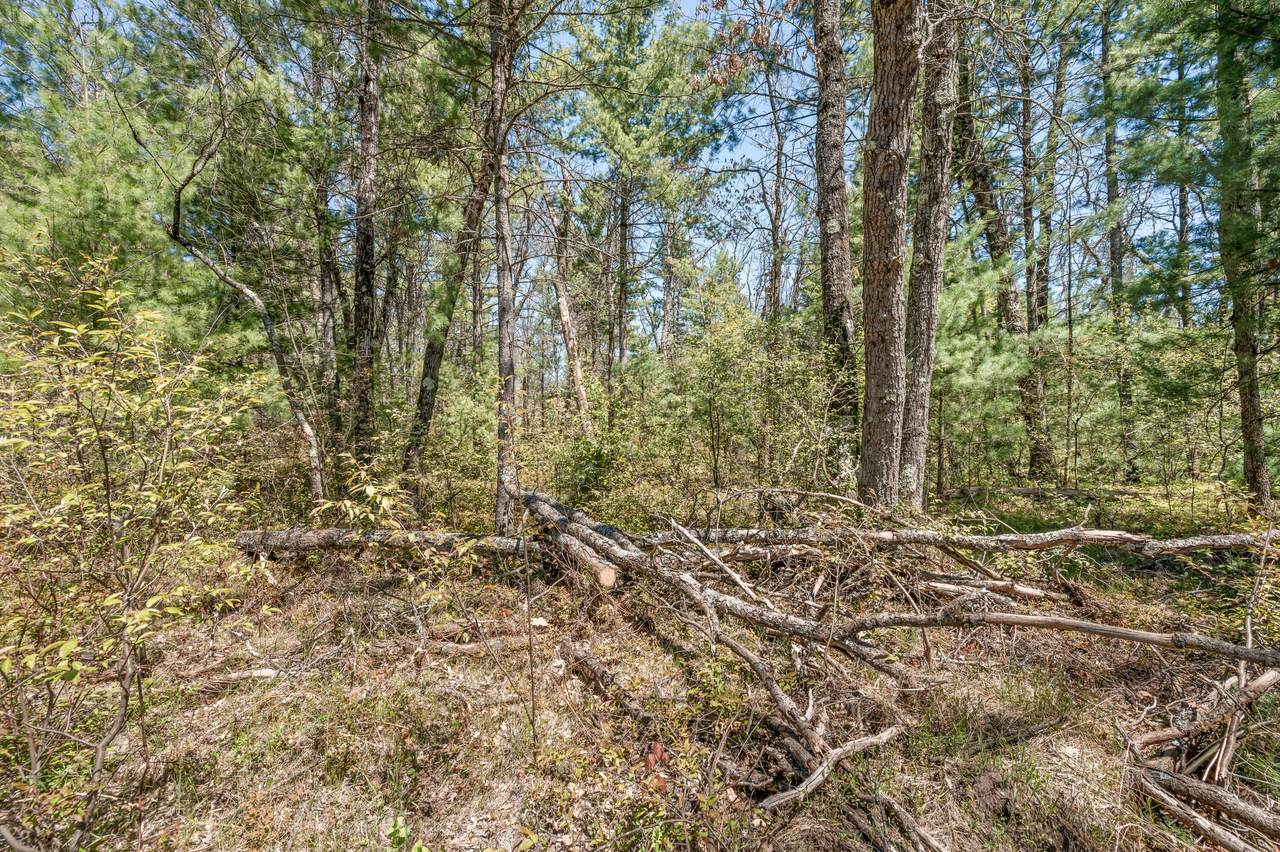 https://bt-photos.global.ssl.fastly.net/swmich/1280_boomver_3_26003593-2.jpg