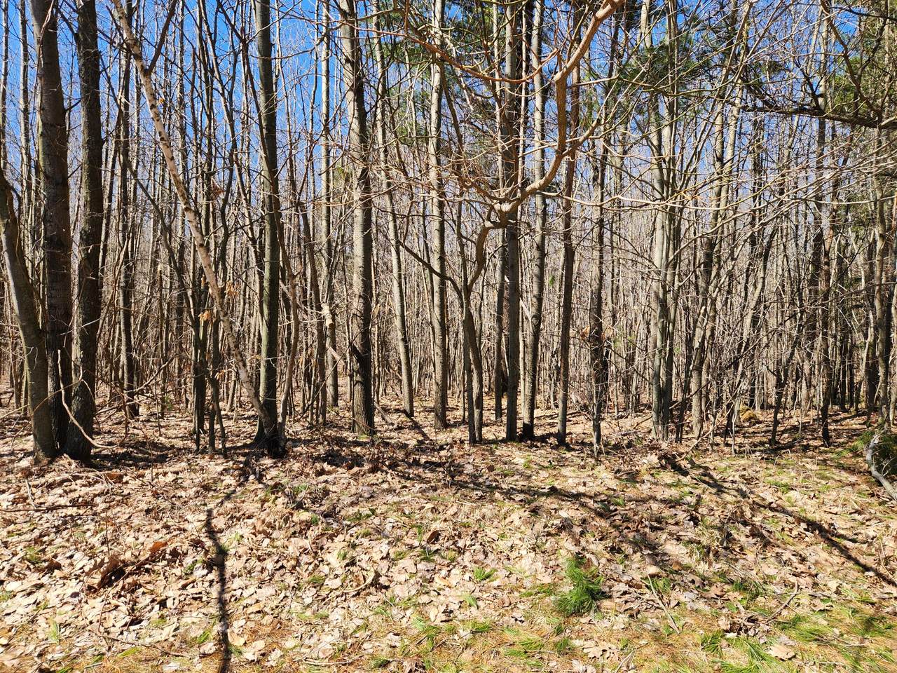  Starlight Ridge Circle - Photo 1