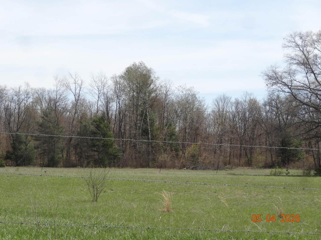 518 Oak Avenue - Photo 1
