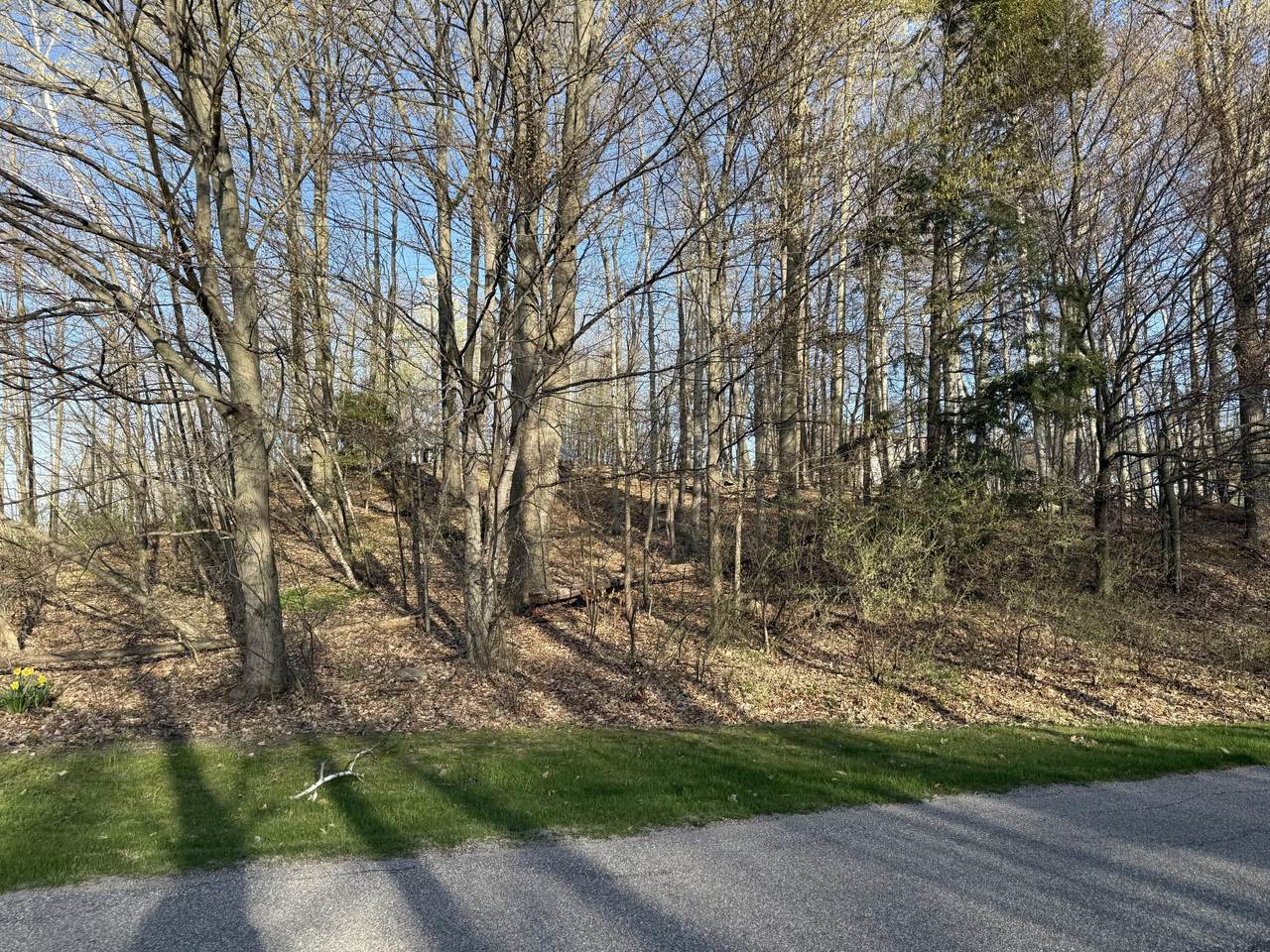 https://bt-photos.global.ssl.fastly.net/swmich/1280_boomver_3_26011417-2.jpg