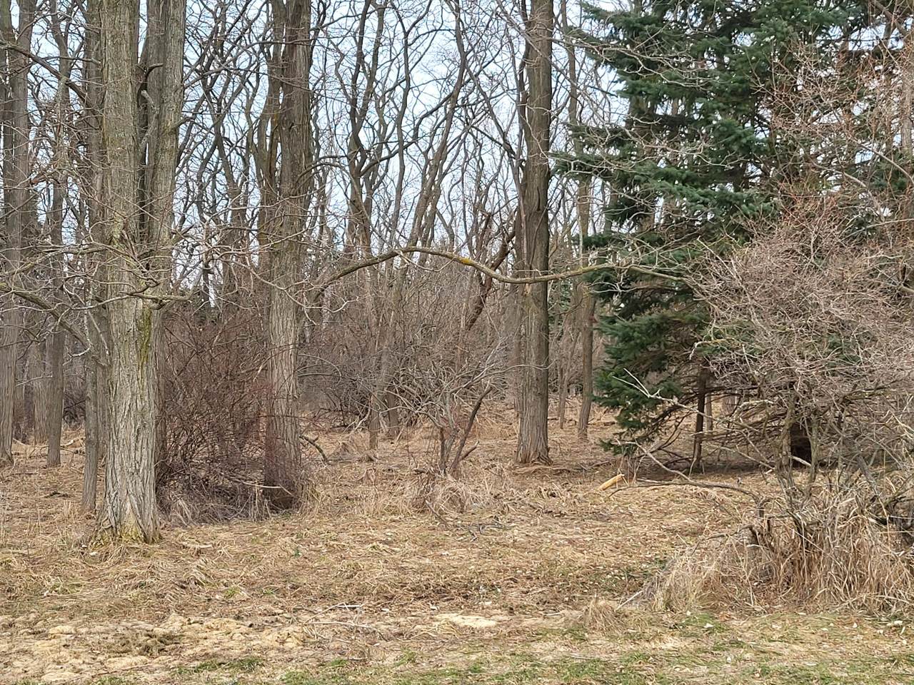 0 Twelfth Street - Photo 1