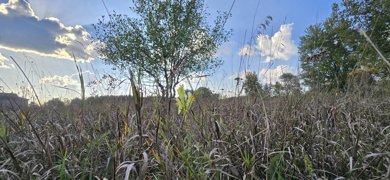 8692 Baseline Road - Photo 1